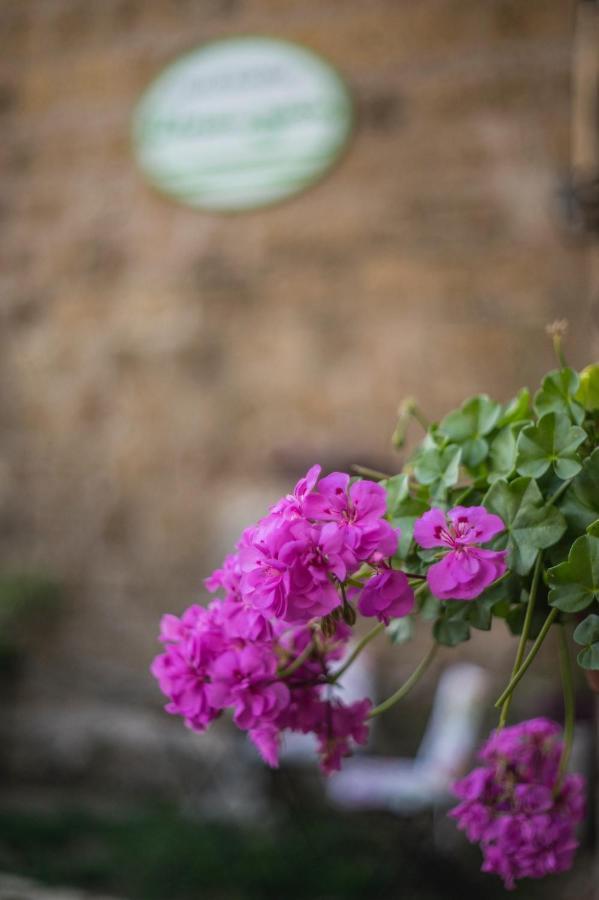 B&B Etruscan Garden Sutri Exteriér fotografie