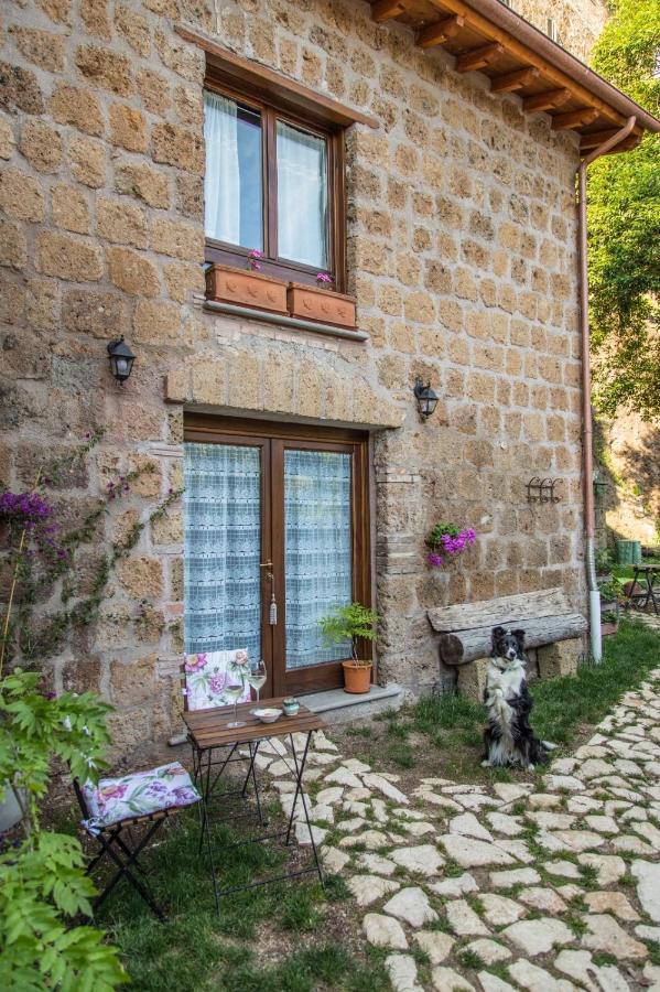 B&B Etruscan Garden Sutri Exteriér fotografie