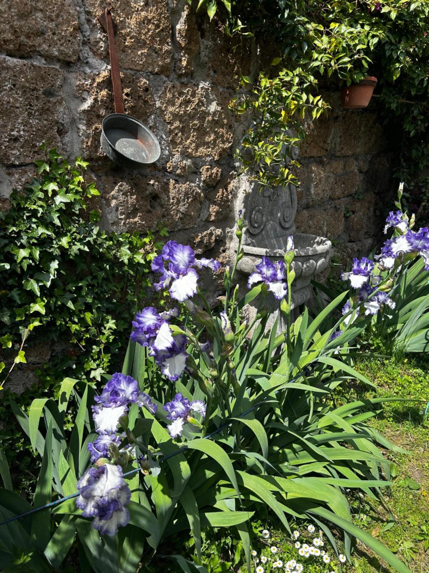 B&B Etruscan Garden Sutri Exteriér fotografie